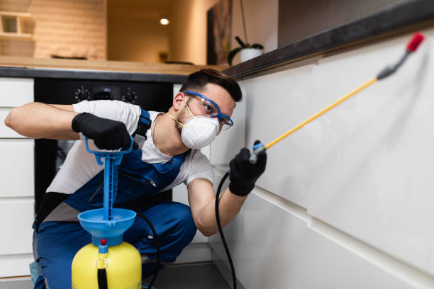 Best Affordable Pest Control Services  in Moorefield, WV