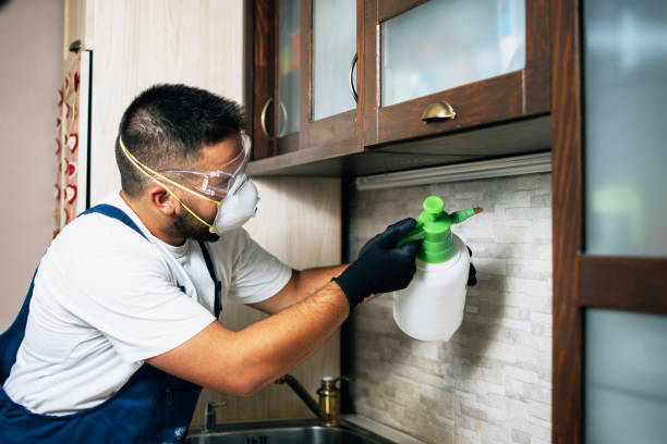 Best Local Pest Control Services  in Moorefield, WV