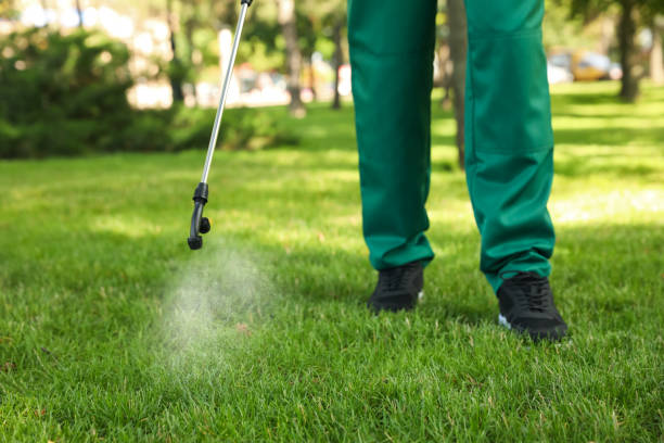 Best Emergency Pest Control  in Moorefield, WV