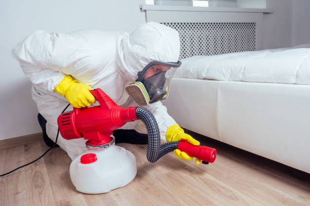Best Emergency Pest Control  in Moorefield, WV