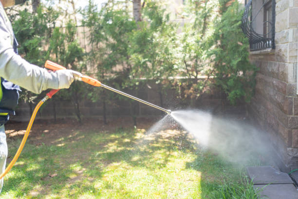 Wasp Removal Services in Moorefield, WV