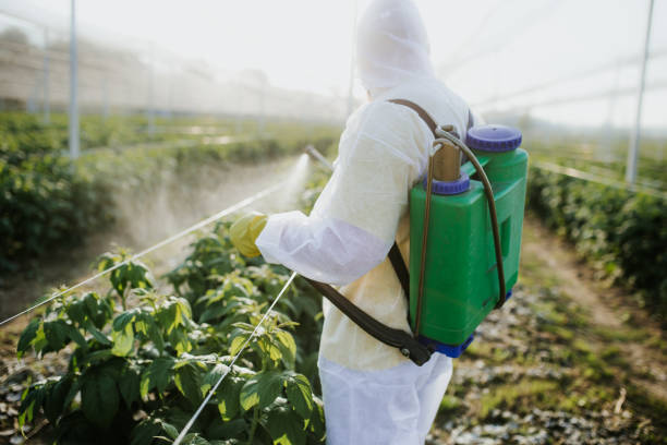 Moorefield, WV Pest Control Company